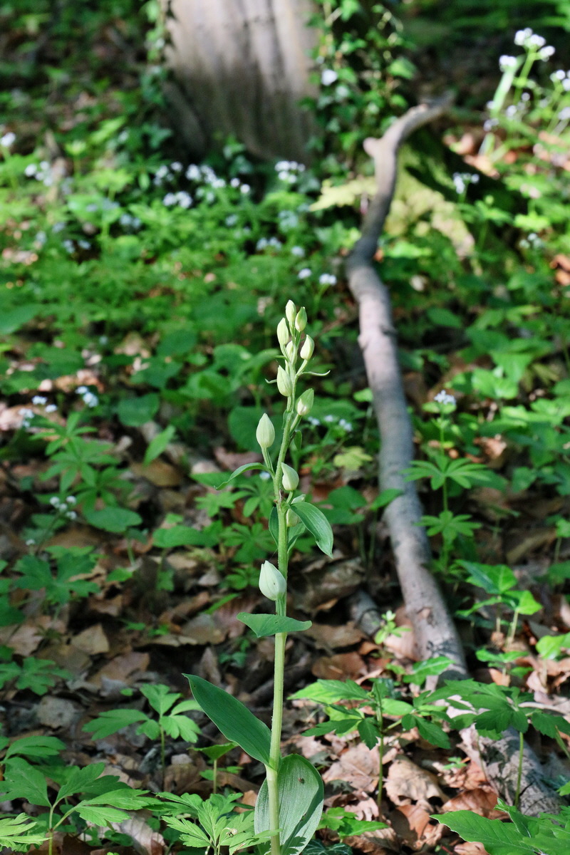 RNA_2017_05_22_6627p_Bildgr��e �ndern