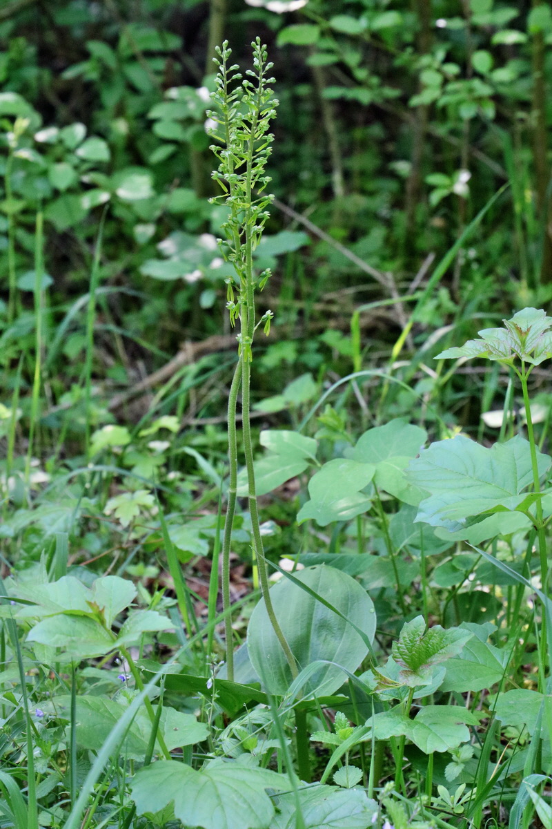 RNA_2017_05_22_6634p_Bildgr��e �ndern