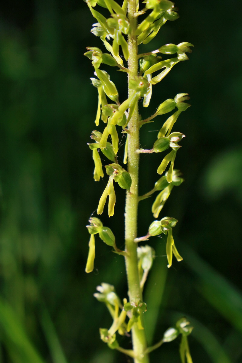 RNA_2017_05_22_6643p_Bildgr��e �ndern