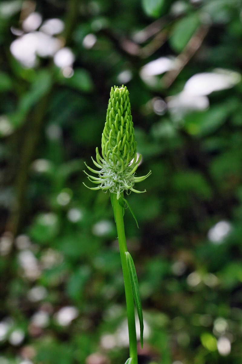 RNA_2017_05_22_6645p_Bildgr��e �ndern