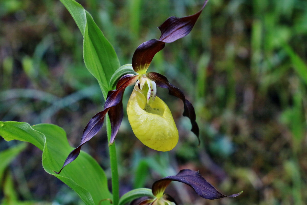 RNA_2017_05_22_6660p_Bildgr��e �ndern