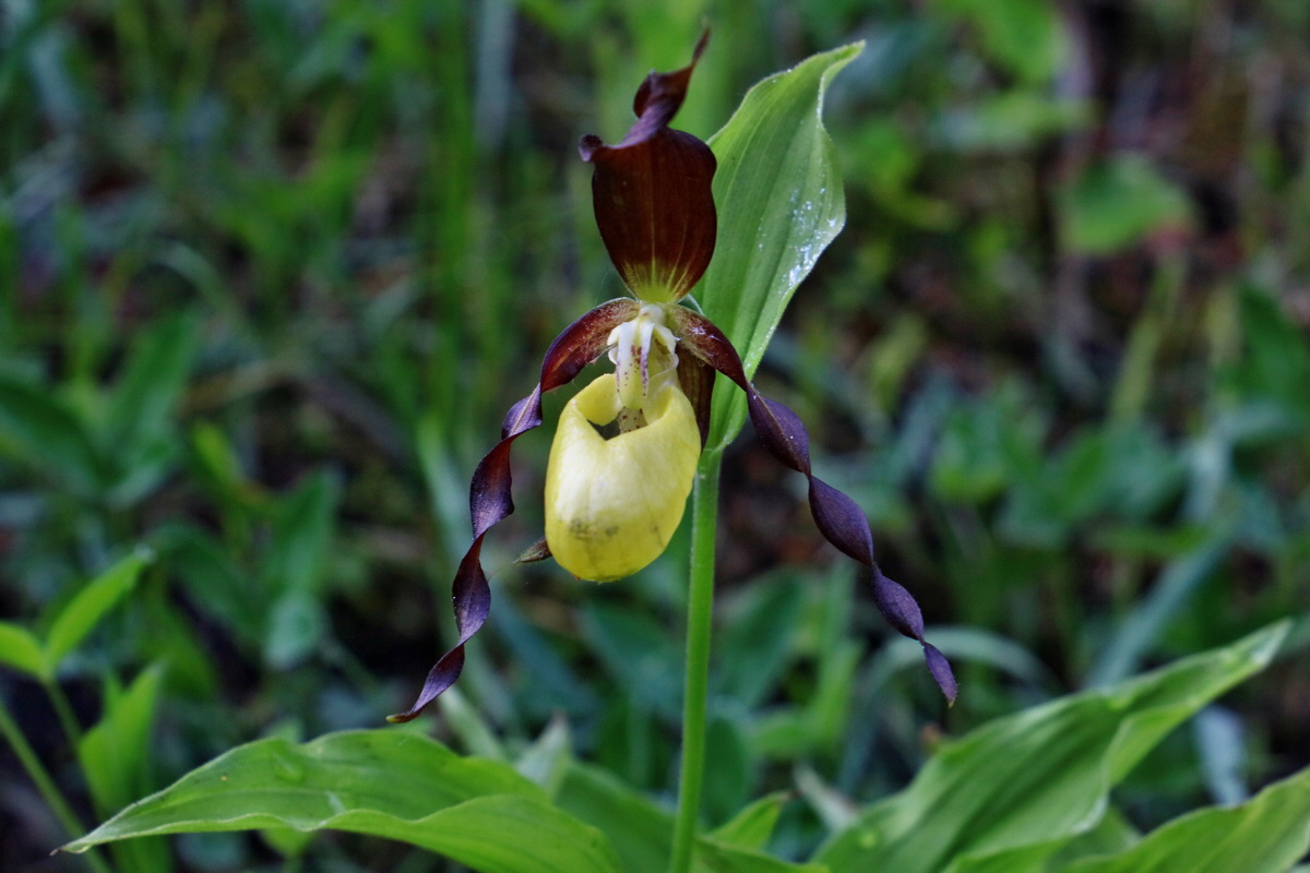 RNA_2017_05_22_6663p_Bildgr��e �ndern