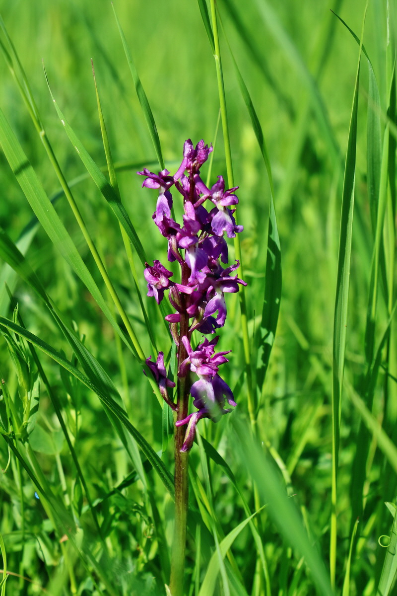 RNA_2017_05_22_6725p_Bildgr��e �ndern