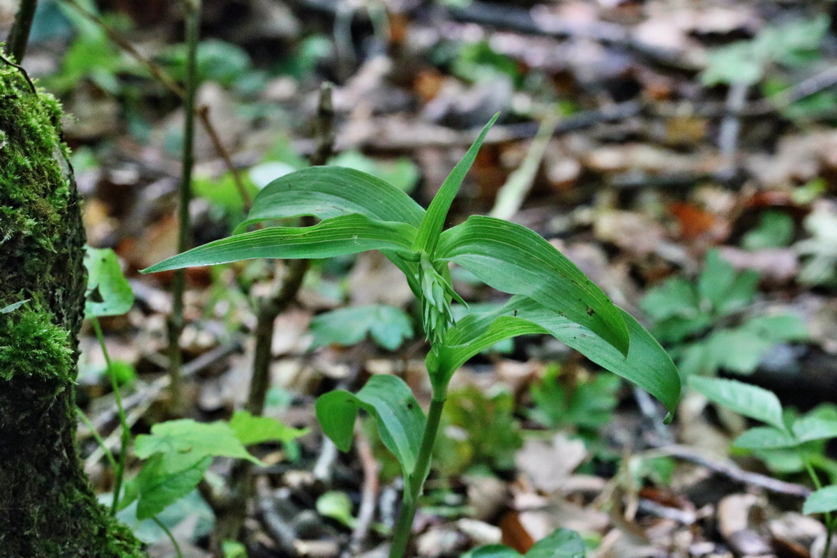 RNA_2017_05_31_7145p_Bildgr��e �ndern