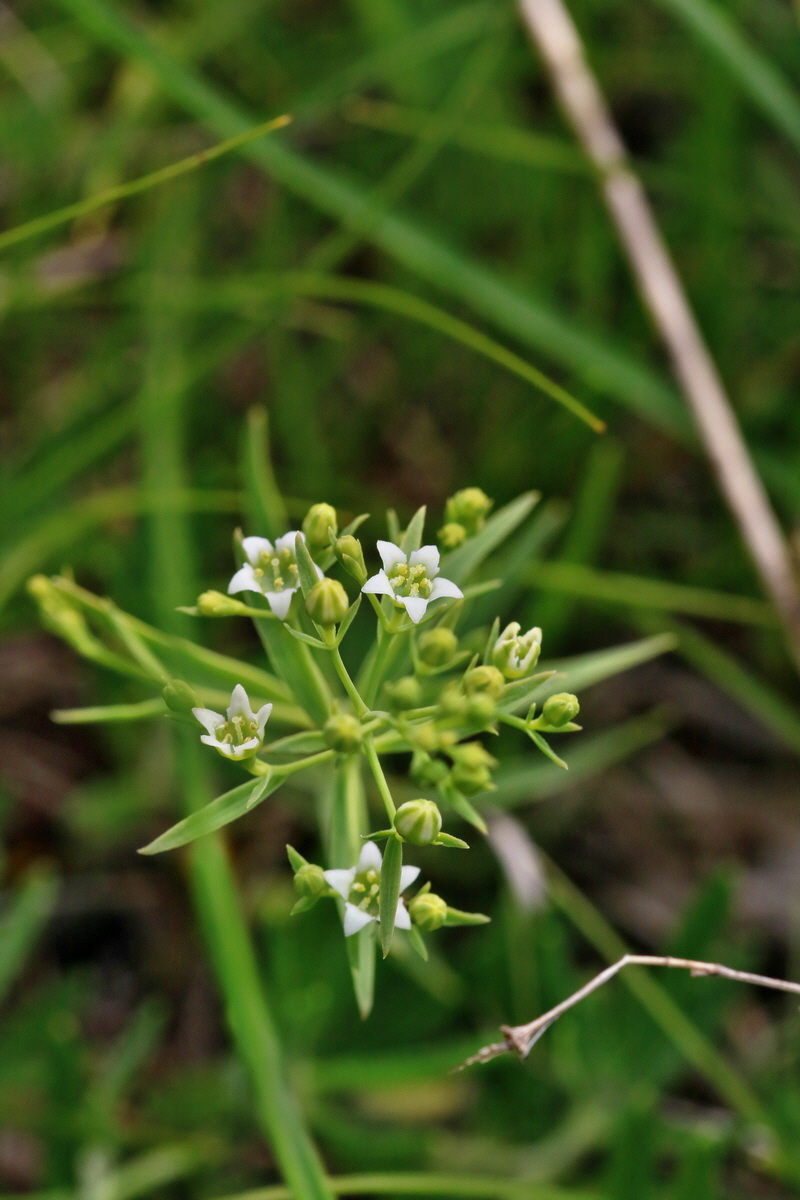 RNA_2017_05_31_7171p_Bildgr��e �ndern