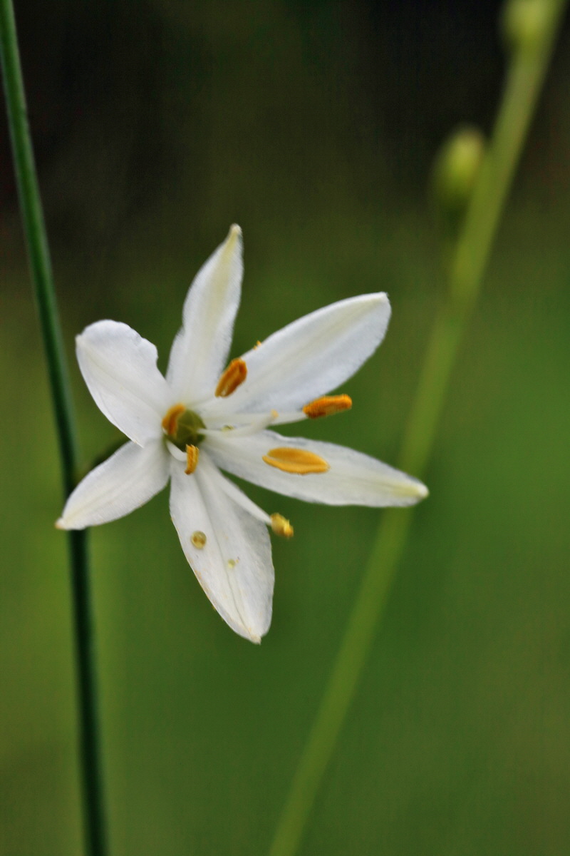 RNA_2017_05_31_7174p_Bildgr��e �ndern