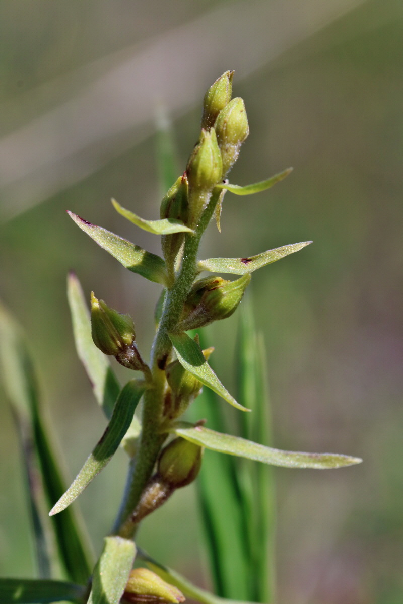 RNA_2017_05_31_7245p_Bildgr��e �ndern