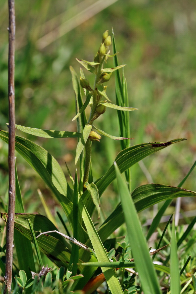 RNA_2017_05_31_7253p_Bildgr��e �ndern