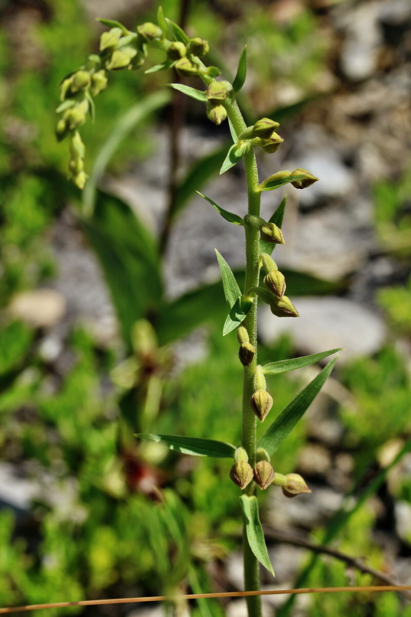 RNA_2017_05_31_7263p_Bildgr��e �ndern