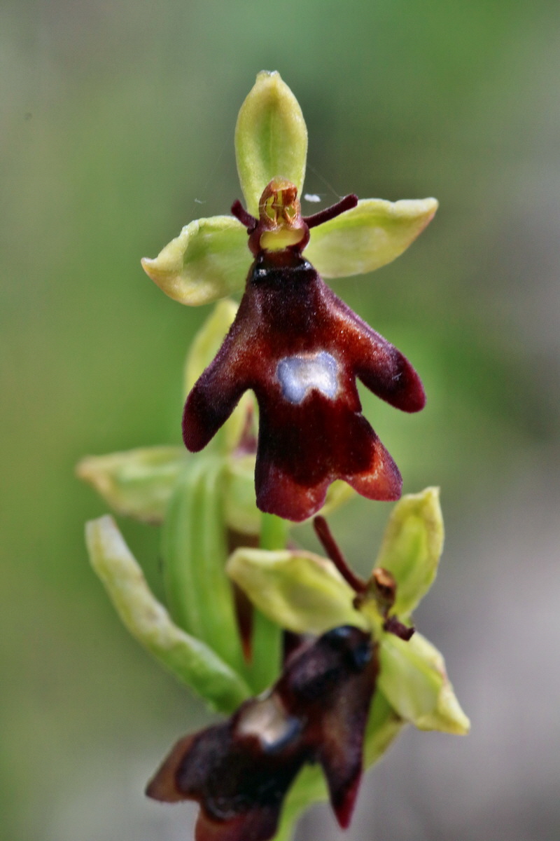 RNA_2017_05_31_7316p_Bildgr��e �ndern