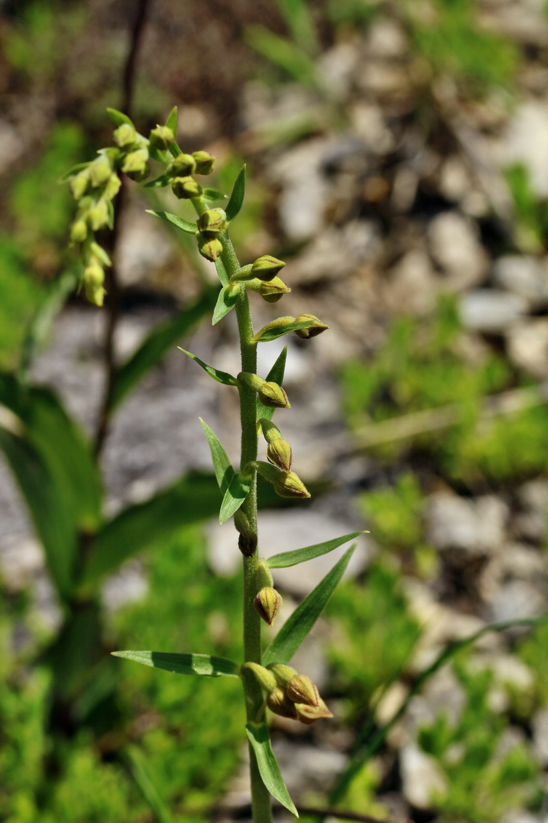 RNA_2017_05_31_7327p_Bildgr��e �ndern