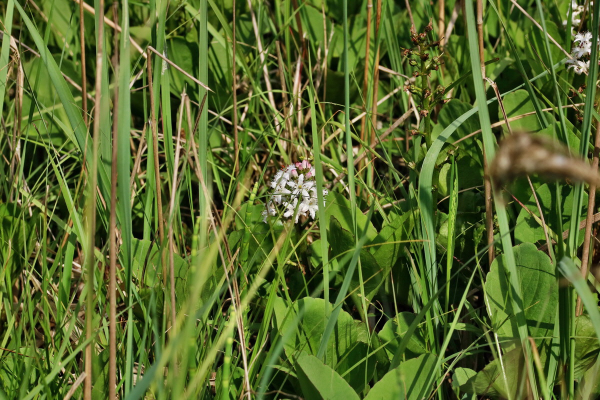 RNA_2017_05_31_7467p_Bildgr��e �ndern