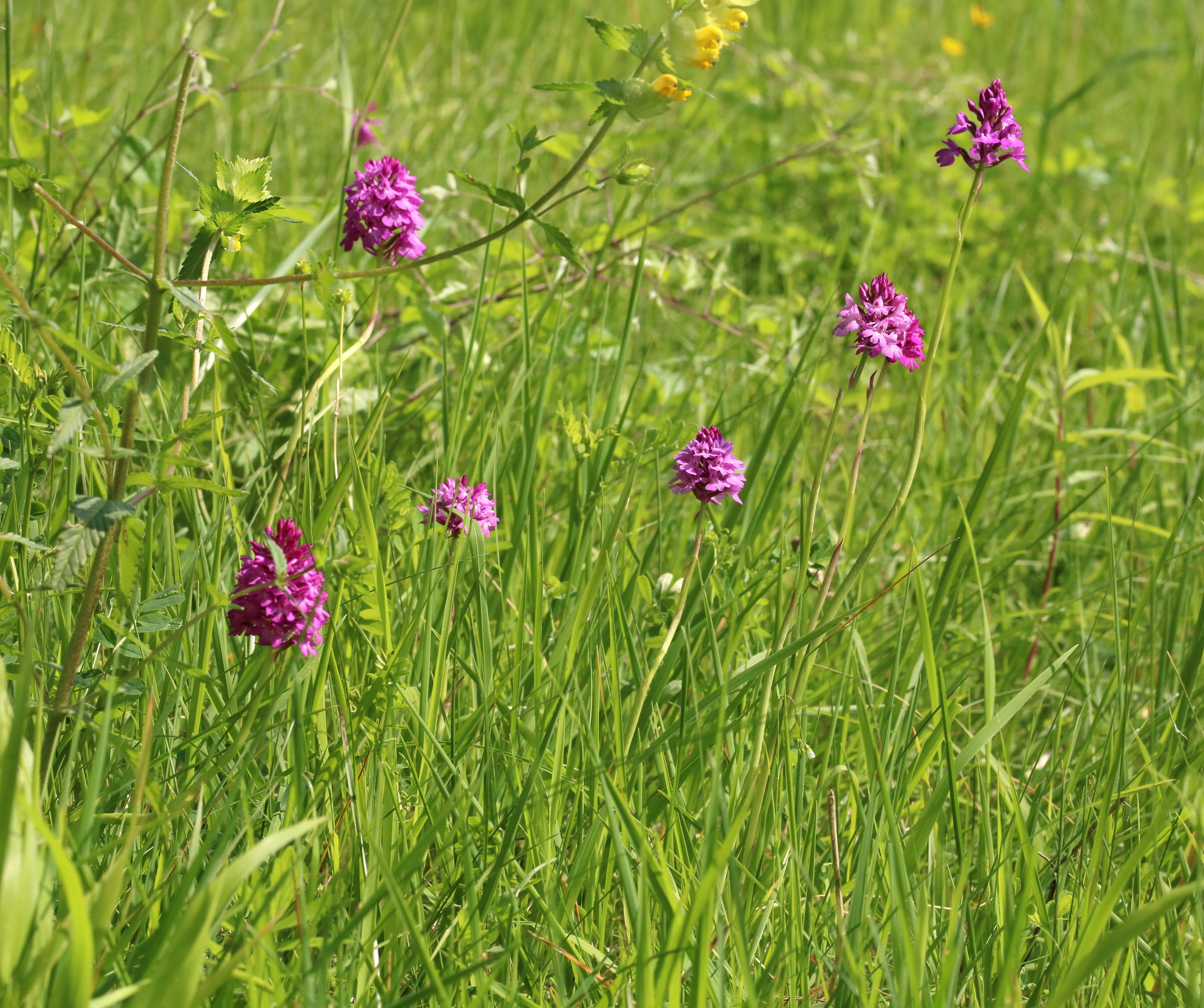 [Group 2]-2017_05_25_031171_2017_05_25_031177-6 images_Bildgr��e �ndern