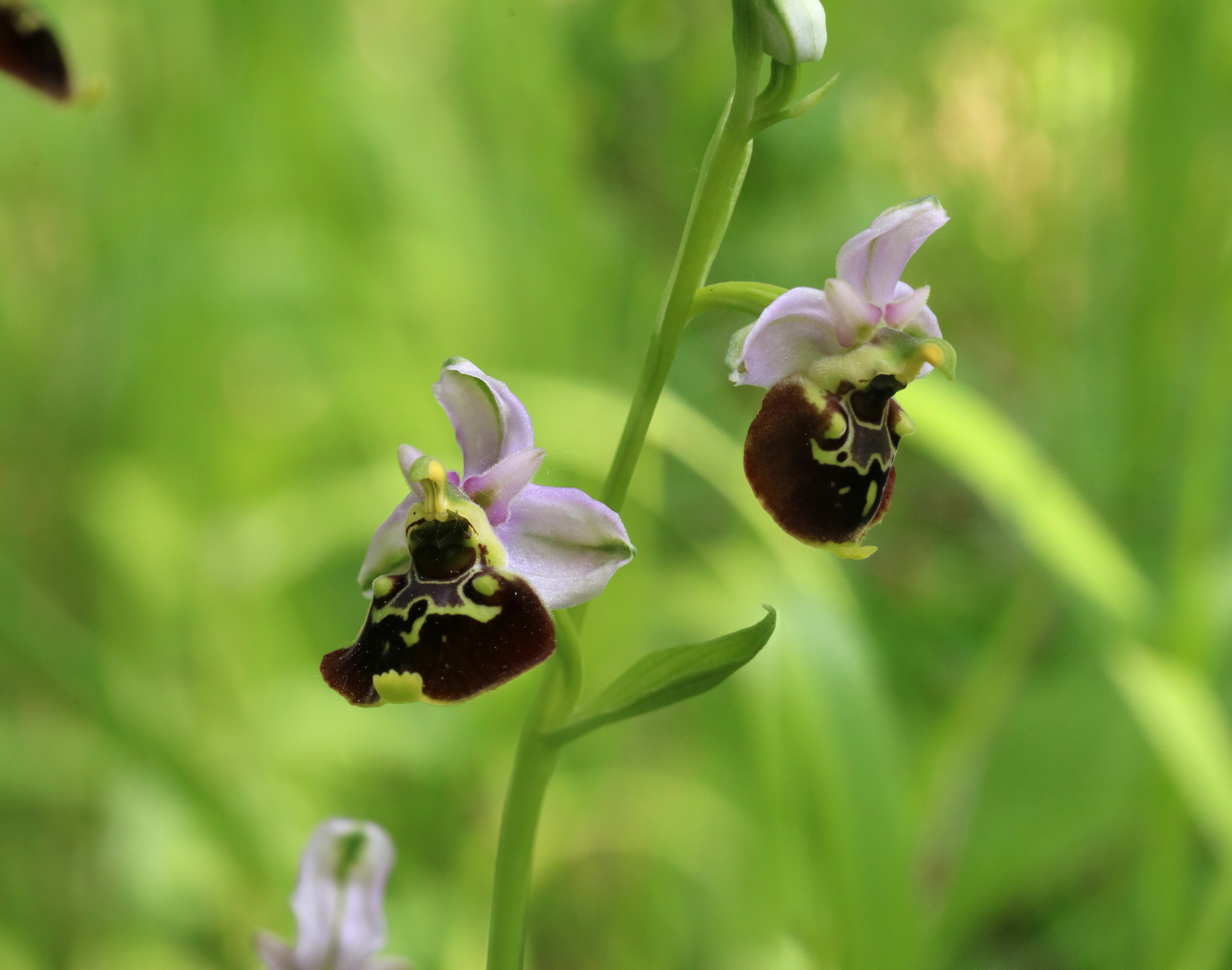 [Group 7]-2017_05_25_031468_2017_05_25_031476-6 images_Bildgr��e �ndern