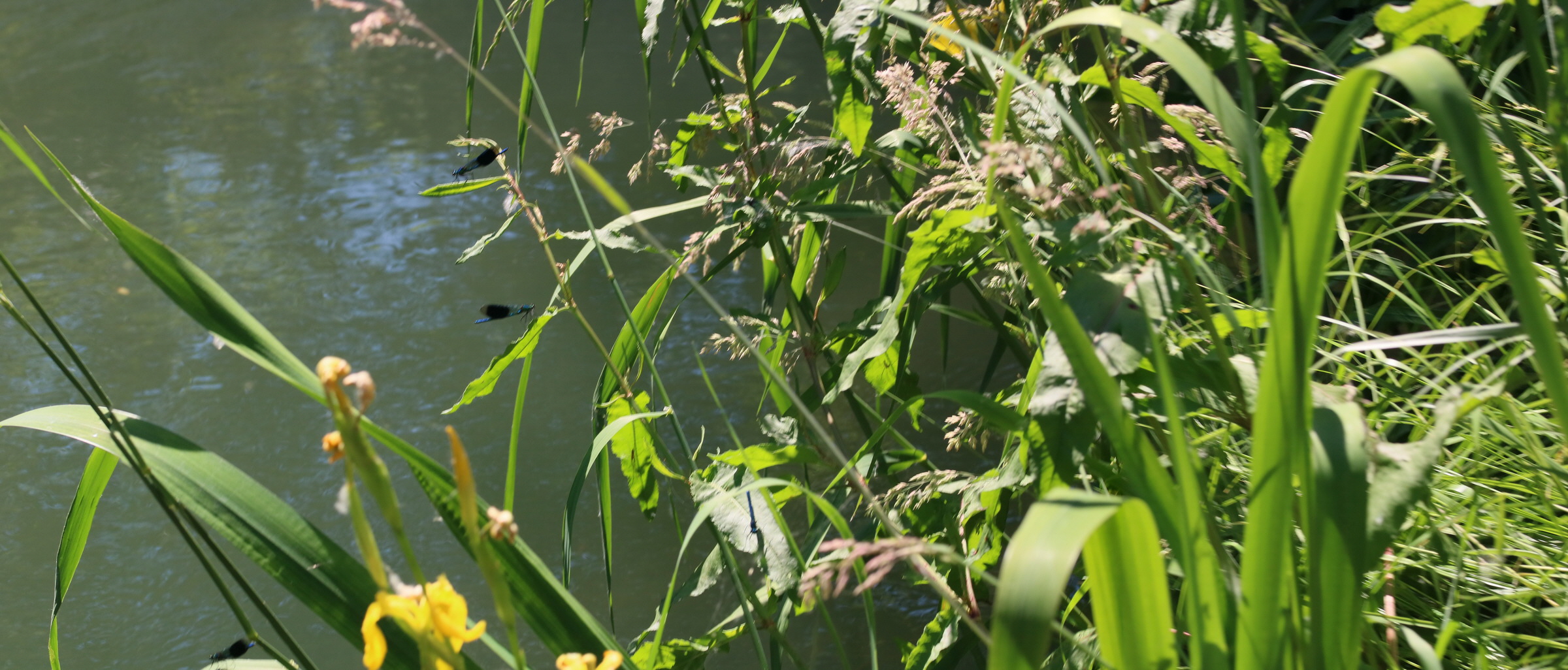 [Group 8]-2017_05_26_033103_2017_05_26_033107-5 images_Bildgr��e �ndern