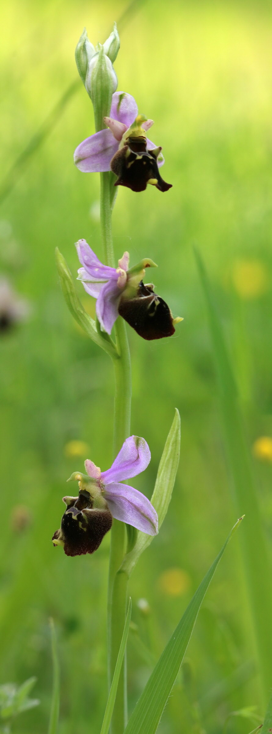 [Group 9]-2017_05_25_031510_2017_05_25_031515-6 images_Bildgr��e �ndern