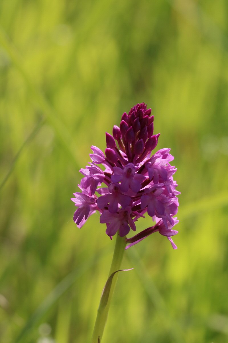 2017_05_25_030987_Bildgr��e �ndern