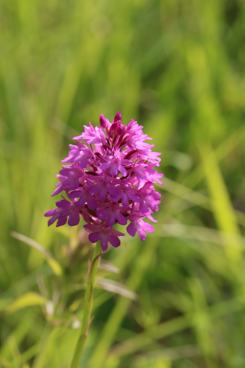 2017_05_25_030990_Bildgr��e �ndern