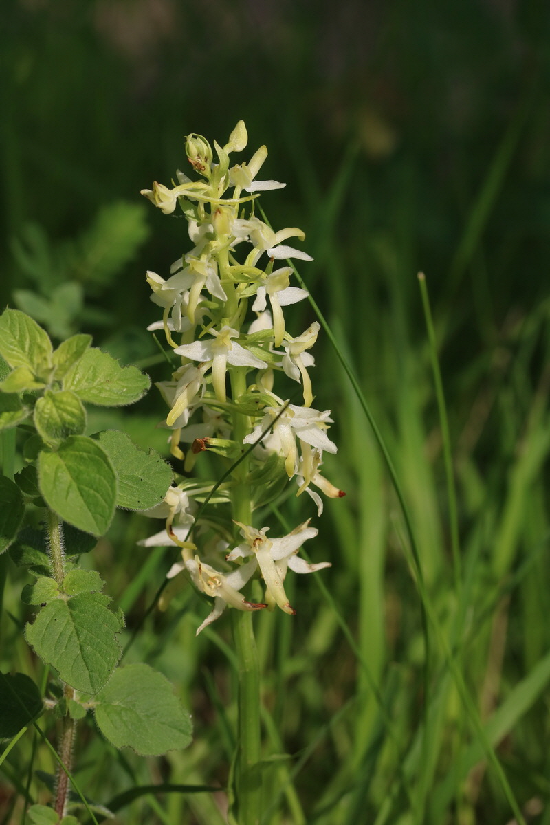 2017_05_25_030997_Bildgr��e �ndern