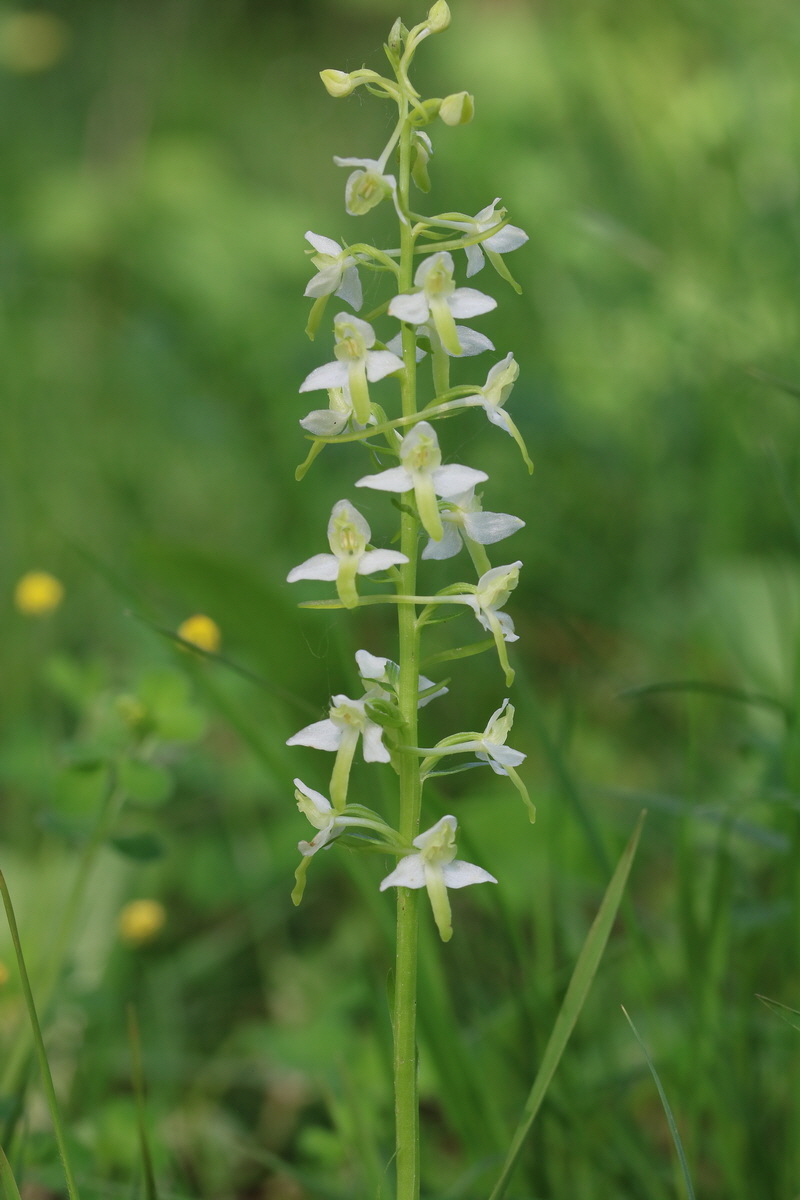 2017_05_25_031001_Bildgr��e �ndern