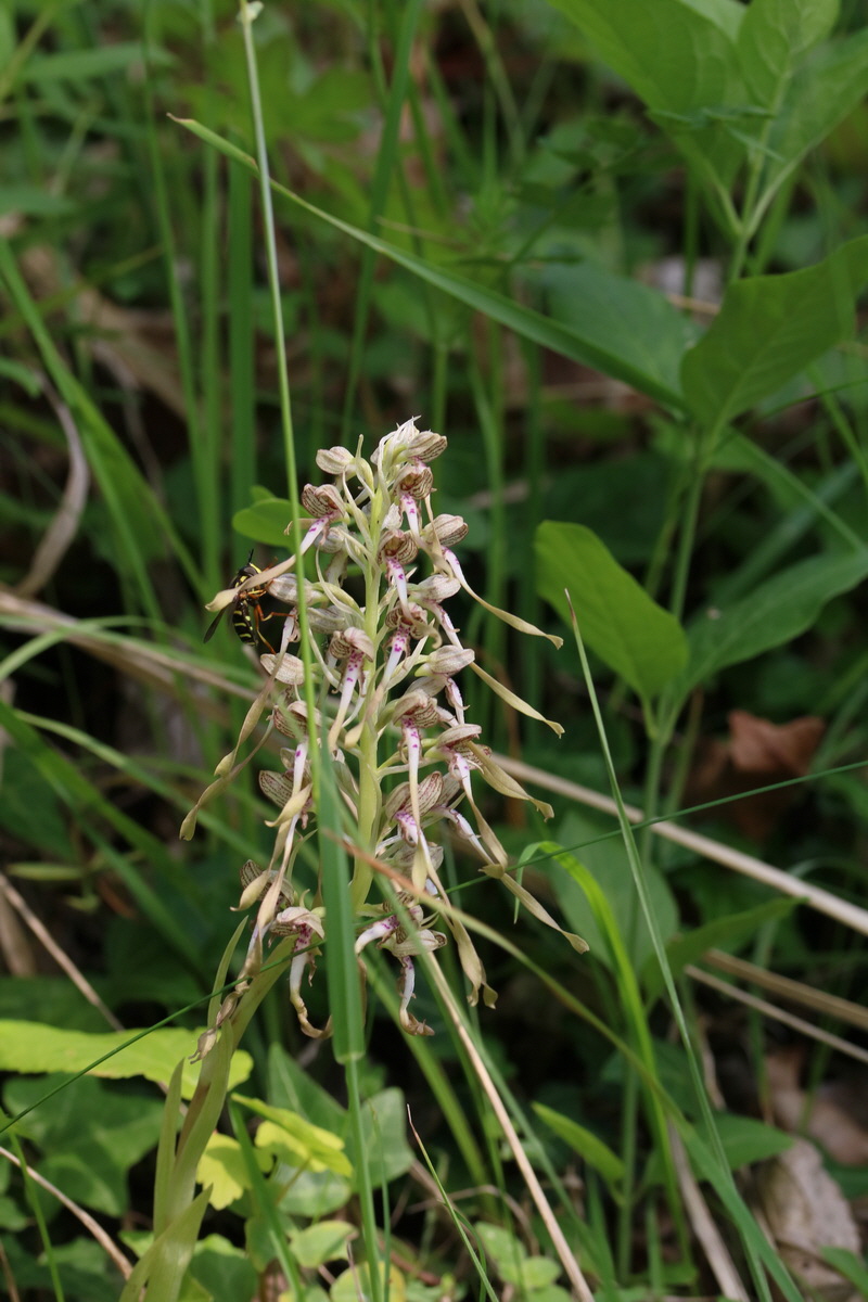 2017_05_25_031010_Bildgr��e �ndern