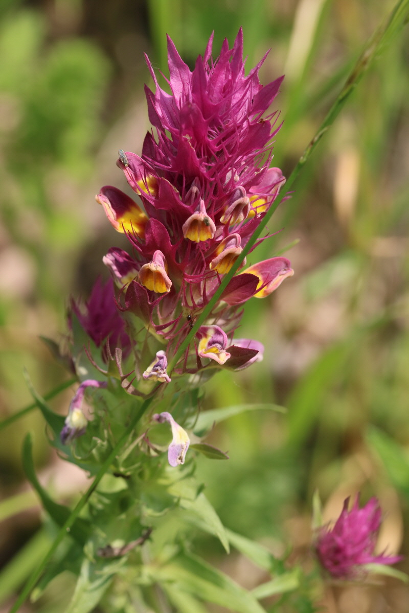 2017_05_25_031012_Bildgr��e �ndern