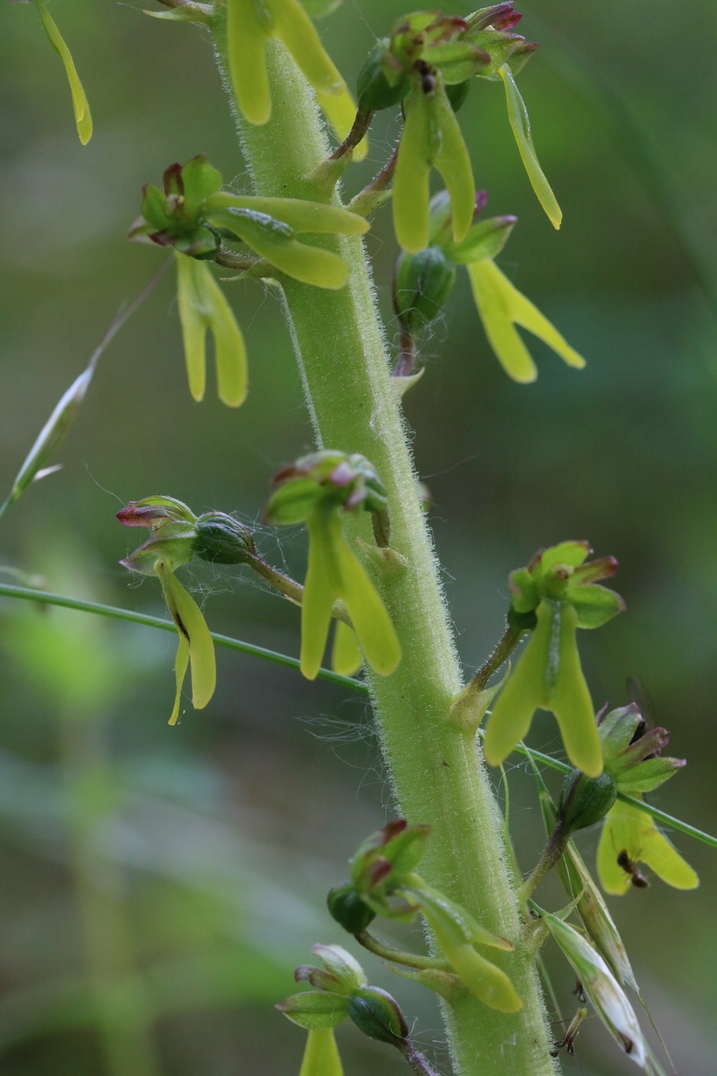 2017_05_25_031018_Bildgr��e �ndern