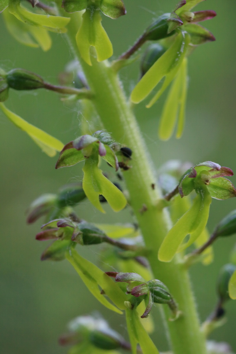 2017_05_25_031025_Bildgr��e �ndern