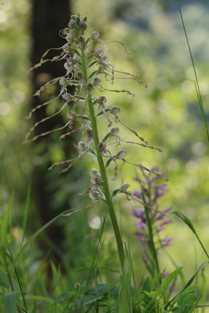 2017_05_25_031029_Bildgr��e �ndern