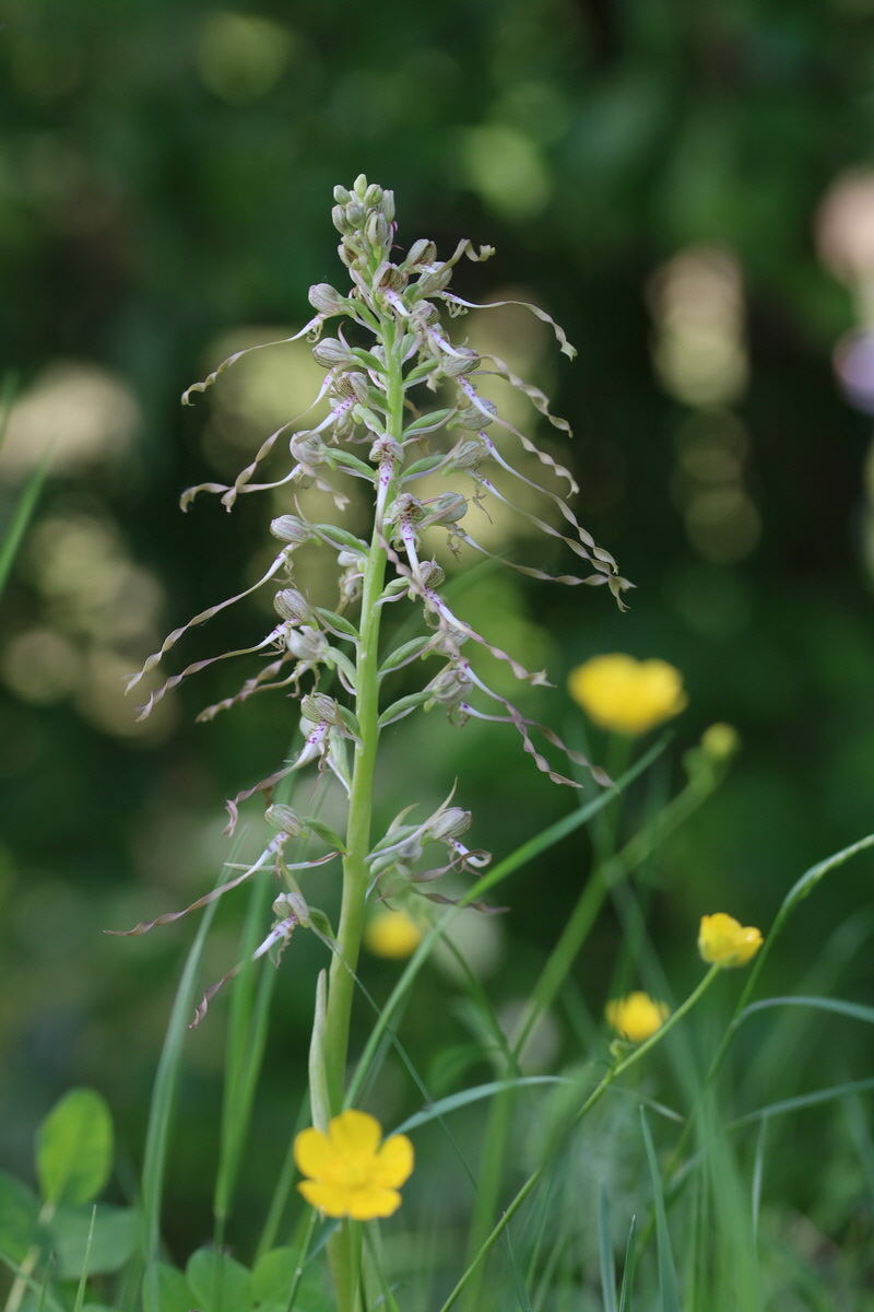 2017_05_25_031036_Bildgr��e �ndern