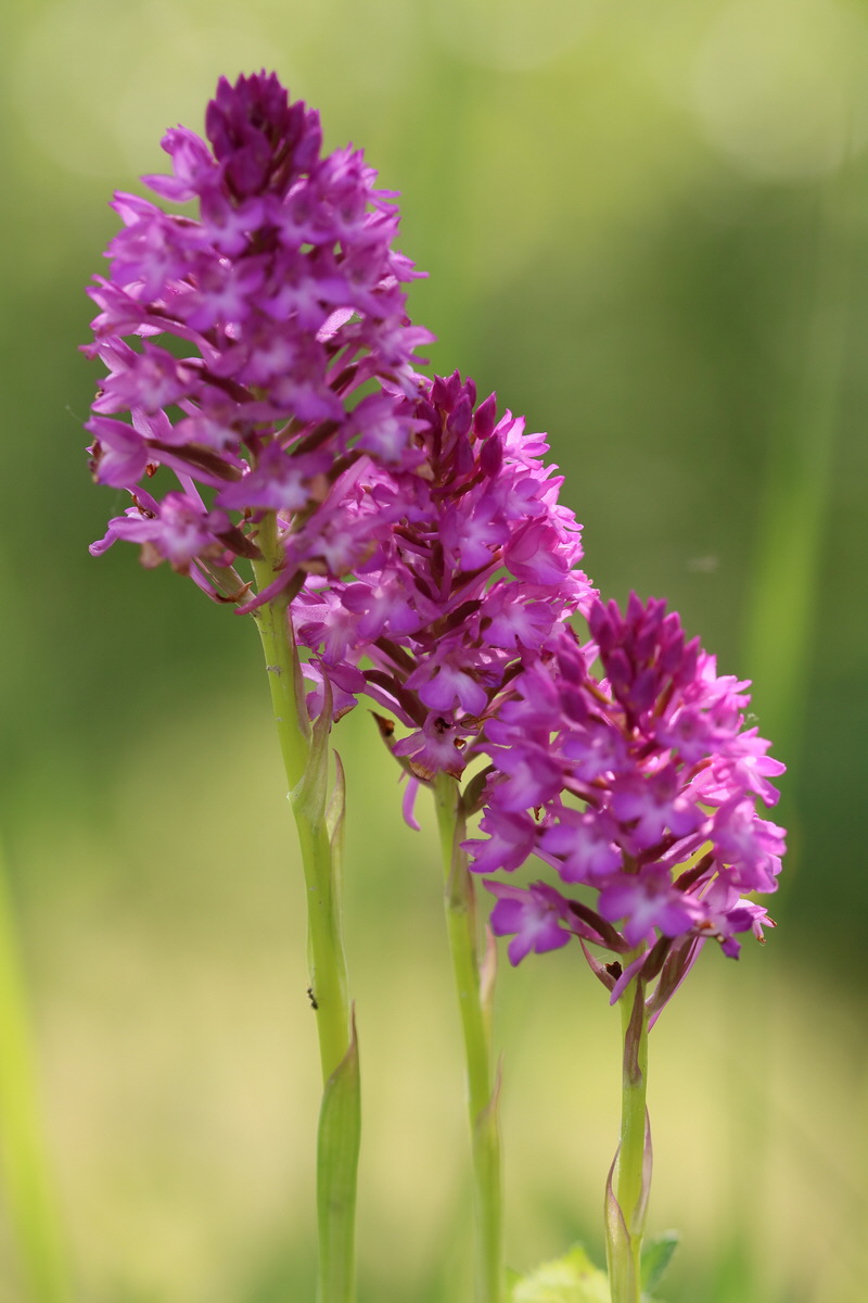 2017_05_25_031056_Bildgr��e �ndern