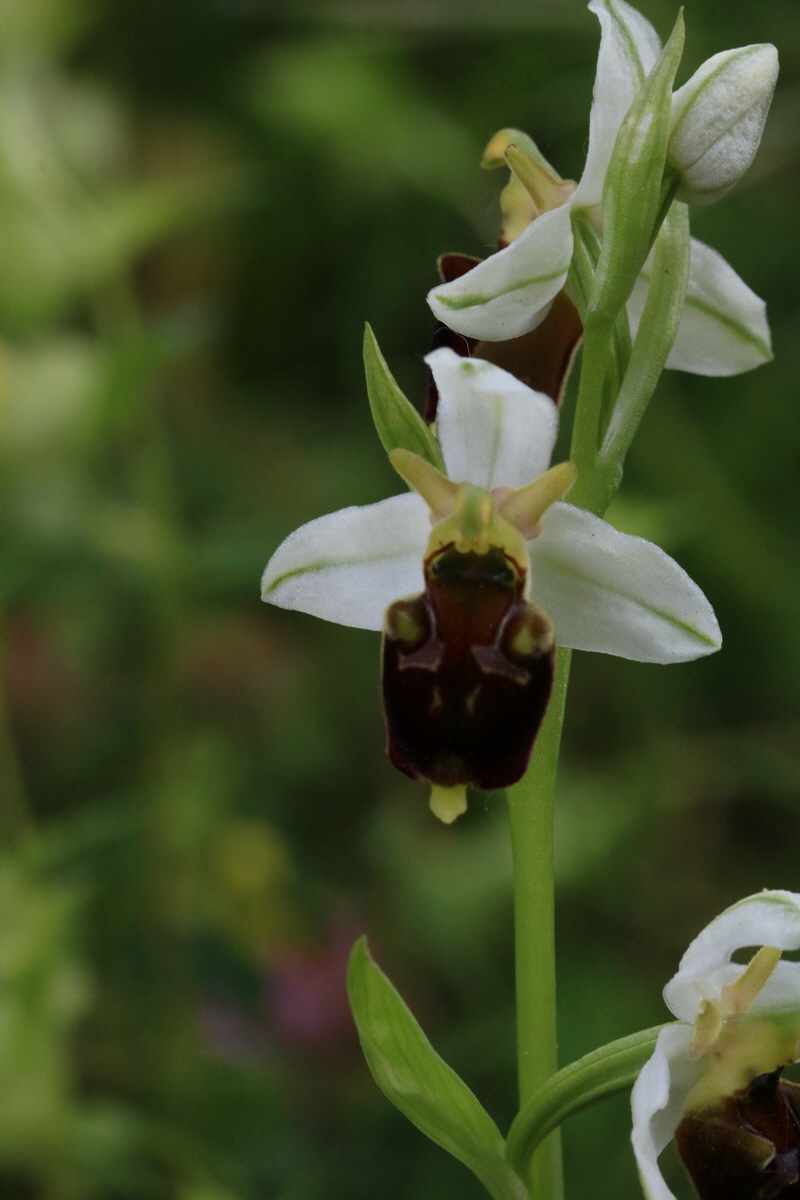 2017_05_25_031085_Bildgr��e �ndern