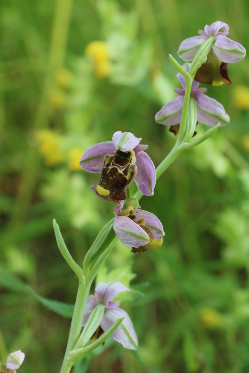 2017_05_25_031086_Bildgr��e �ndern