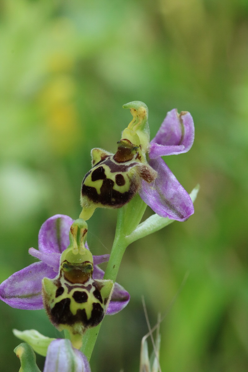 2017_05_25_031092_Bildgr��e �ndern