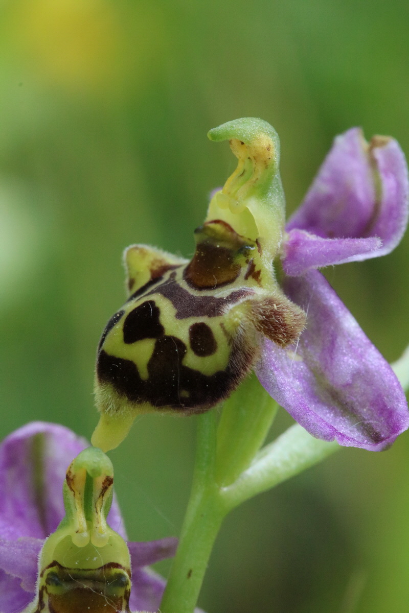 2017_05_25_031102_Bildgr��e �ndern