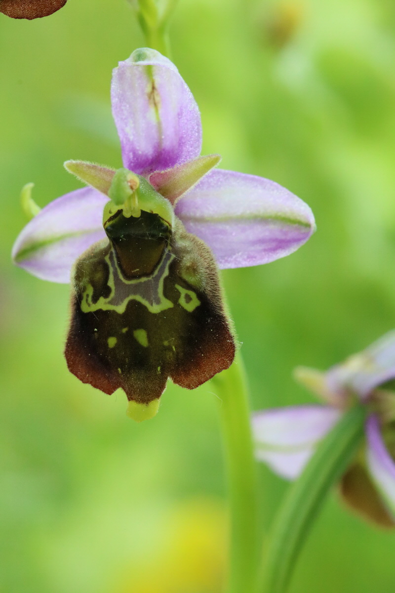 2017_05_25_031114_Bildgr��e �ndern