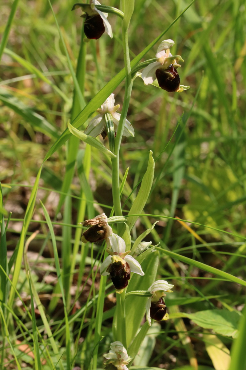 2017_05_25_031119_Bildgr��e �ndern