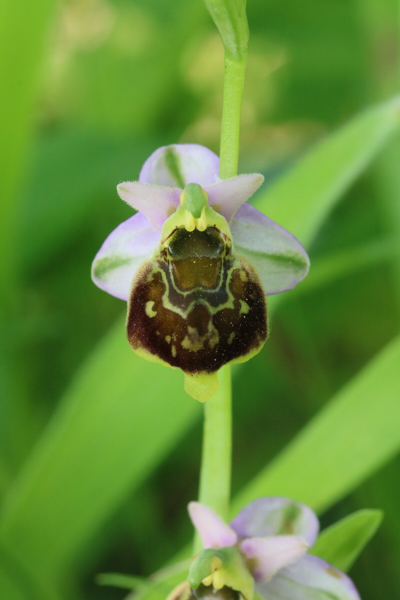 2017_05_25_031132_Bildgr��e �ndern