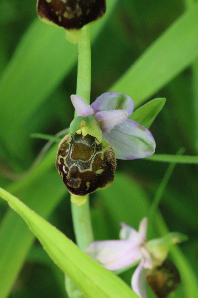 2017_05_25_031135_Bildgr��e �ndern