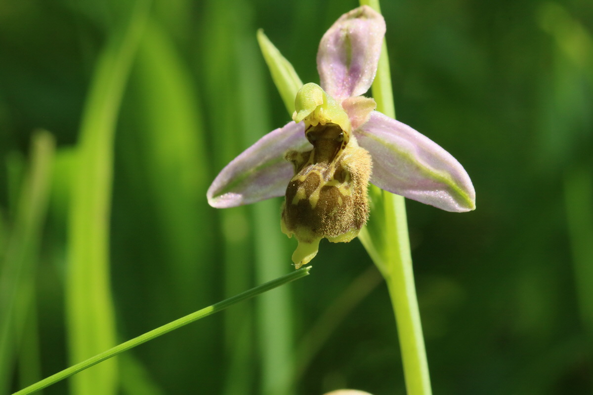 2017_05_25_031181_Bildgr��e �ndern