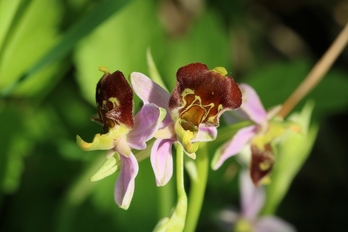 2017_05_25_031193_Bildgr��e �ndern