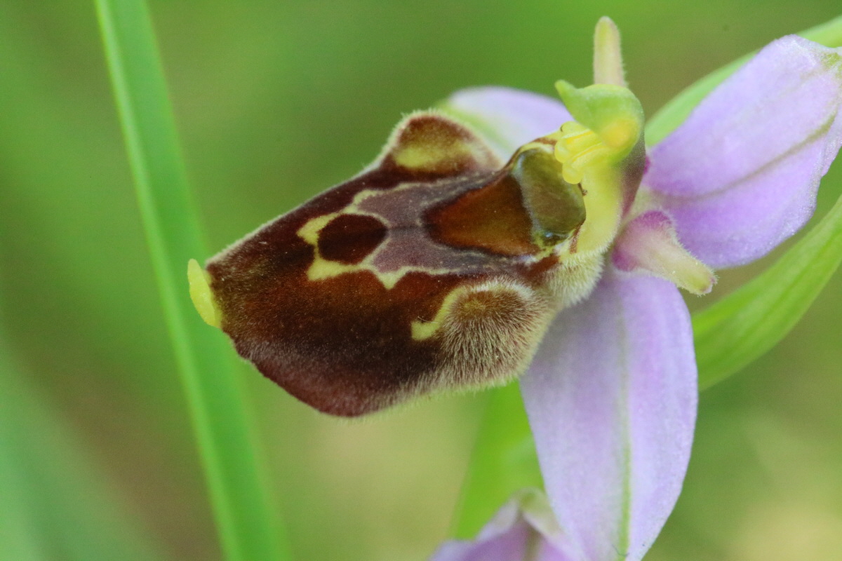 2017_05_25_031196_Bildgr��e �ndern