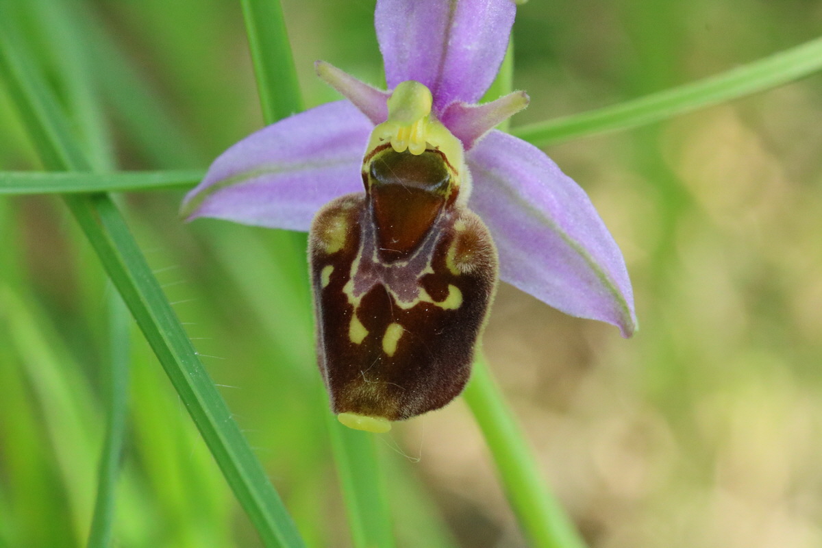 2017_05_25_031202_Bildgr��e �ndern