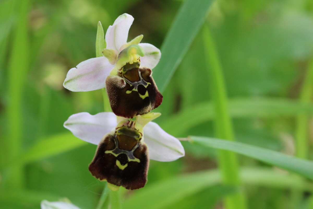 2017_05_25_031205_Bildgr��e �ndern