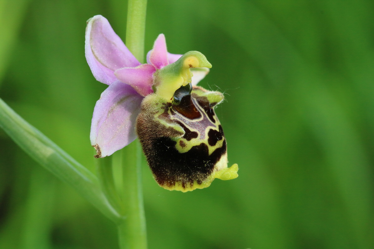 2017_05_25_031208_Bildgr��e �ndern