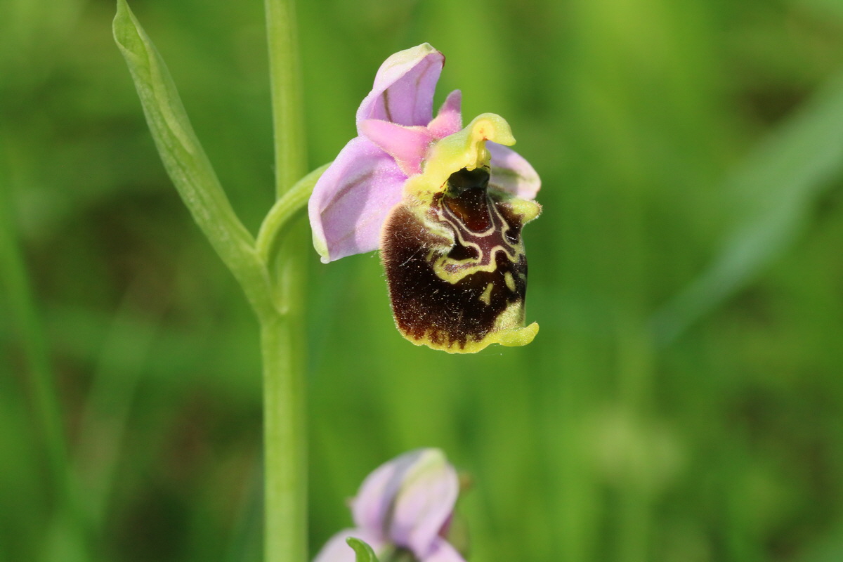 2017_05_25_031211_Bildgr��e �ndern