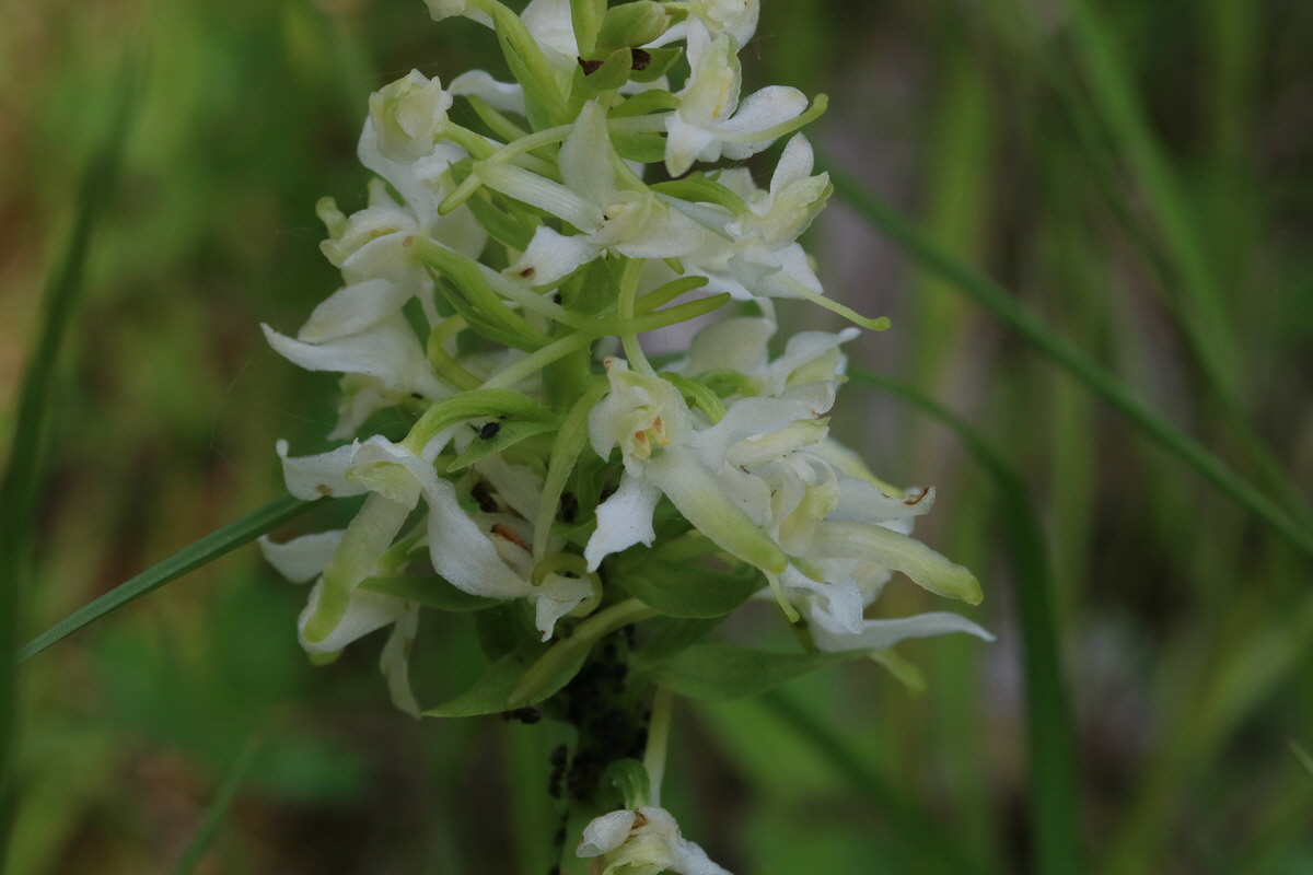 2017_05_25_031224_Bildgr��e �ndern