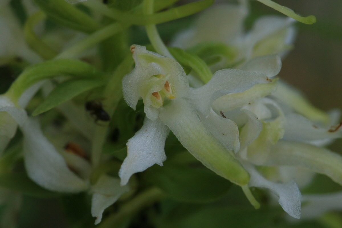 2017_05_25_031227_Bildgr��e �ndern