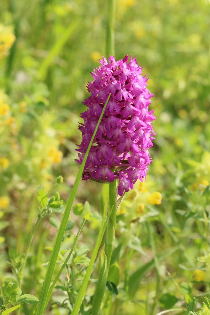 2017_05_25_031262_Bildgr��e �ndern