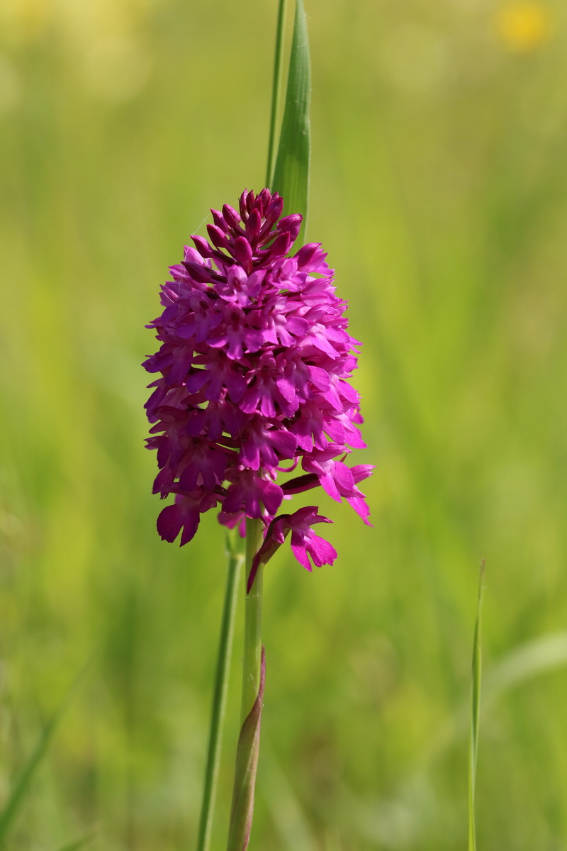 2017_05_25_031278_Bildgr��e �ndern